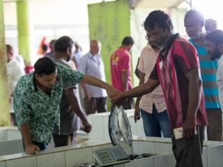 މަސްމާރުކޭޓް (ފައިލް ފޮޓޯ)