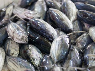 Fish purchases in September dropped by 47 percent, says MMA