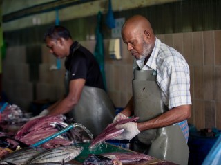 ކަނޑުމަހުގެ އަގު އުފުލިއްޖެ