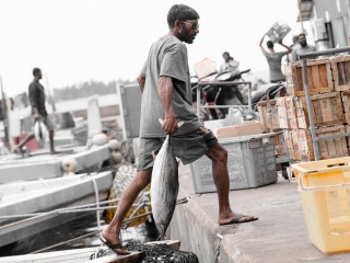 ބެޔަސް ނުބެޔަސް ސްކީމްގައި ބައިވެރި ނުވަނީ މަސްވެރިން ތަނަވަސް ވުމުން: ފިޝަރީޒް މިނިސްޓްރީ