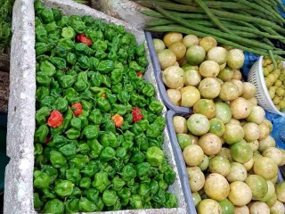 މިރުސް ކިލޯއެއް އަގު 800ރ. އިން 250ރ. އަށް ތިރިވެއްޖެ!