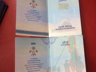 ގައުމީ ސަލާމަތަށް ނުރައްކާވާ ފަދަ މީހުންގެ ޕާސްޕޯޓް ބާތިލް ކުރެވޭ ގަވާއިދަށް އަމަލުކުރަން ފަށައިފި