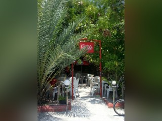 ކާނިވާ ސަރަހައްދުގައި ހުރި ބައެއް ކެފޭތަކައި ރެސްޓޯރެންޓްތައް ނަގަނީ