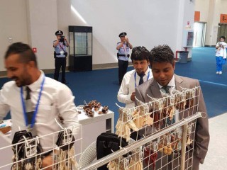 ޗައިނާގެ ކުންމިން ފެއާގައި 86 ގައުމަކުން ބައިވެރިވޭ: އިކޮނަމިކް މިނިސްޓްރީ