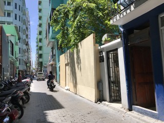 އަލިރަސްގެފާނުގެ ޒިޔާރަތް ކޮންނަން ފަށައިފި