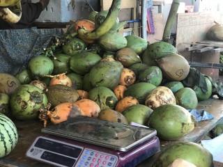 Merchants expect young coconut prices to hike soon