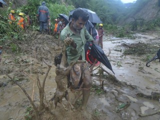 ކިސަޑު ފައިބާ ބަންގްލަދޭޝް ހާސްކޮށްލައިފި