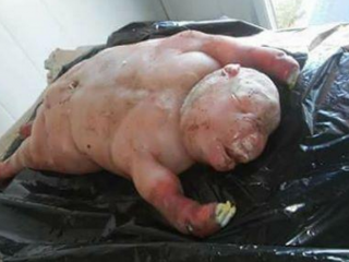 އިންސާނެއްގެ ސިފަޔަށް އޮތް ކަންބަޅިއެއް އުފަންވުމާއެކު ދެކުނު އެފްރިކާ މީހުން ބިރުގަނެއްޖެ!