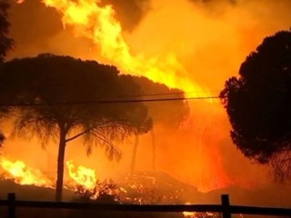 ސްޕެއިންގެ ޖަންގަލީގައި ރޯވެފައިވާ އަލިފާންގަނޑުގެ ސަބަބުން 1،500 މީހުން ރައްކާތެރި ހިސާބުތަކަށް ބަދަލުވާން ޖެހިއްޖެ