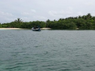 ގަދަކަމުން ބަދްއަޚްލާގީ އަމަލު ހިންގި މައްސަލައަކާ ދެ ބިދޭސީން ހައްޔަރުކޮށްފި