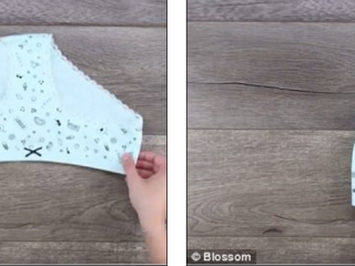 ފޭސްބުކްގެ ތާރީޚްގައި މިހާތަނަށް އެންމެ މަގްބޫލްވި ވީޑިއޯ އެނގޭތަ؟