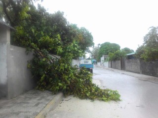 Tornado devastates Fonadhoo