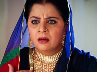 އަލްކާ ކައުޝަލް ދެ އަހަރަށް ޖަލަށް ލުމަށް ހުކުމްކޮށްފި