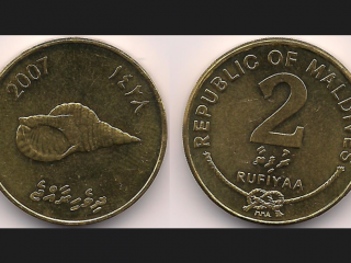 ލުއި ދެ ރުފިޔާގެ އާ ޝިޕްމަންޓެއް އަނެއްކާ ވެސް ގެނެސްފި