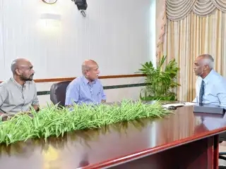 ރައްޔިތުންގެ އަޑު ސިލްސިލާގެ ތެރެއިން