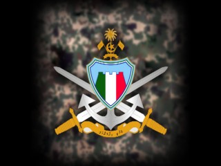 އަސްކަރީ ތަމްރީންތަކުގެ ވާހަކައަކީ ދޮގު ޚަބަރެއް : އެމްއެންޑީއެފް