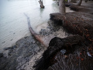 ފުނަދޫ އިން ފިހުނު މީހާ ސްޓޭބަލް: ހޮސްޕިޓަލް