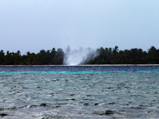 ލ. މާމެންދޫ. ފައިލް