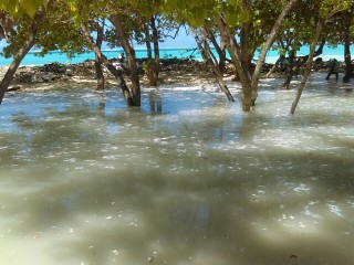 ގުޅިއަށް އުދަ އަރައި ފެން ބޮޑުވެފައި: ދިޔަވަރު ބޮޑުވާނީ ހެނދުނާއި ރޭގަނޑު އިރާކޮޅު