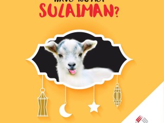 އޭޑީކޭގެ ޕޯސްޓަށް ލައިކް ދީ އަދި ޝެއަރ ކޮށްގެން "ބަކަރި" އެއް ހޯދުމުގެ ފުރުސަތު 