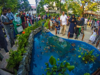 142 ބިދޭސީން ރަސްރަނި ބަގީޗާއަށް ވަދެފައިވޭ: ހައުސިންގ މިނިސްޓްރީ 