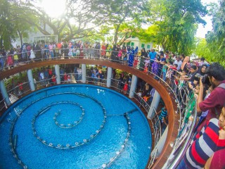 142 foreigners entered Rasrani Bageecha from Friday to Tuesday: Ministry