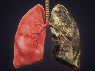 ދުންފަތުގެ އިސްތިއުމާލުކުރުން: އާ ގަވައިދެއް ހެދިޔަސް މިކަން ހުއްޓުވޭނީ އެންމެން ޒިންމާނަގައިގެން