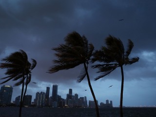 ތޫފާން އިރްމާ: ފްލޮރިޑާ ސްޓޭޓުގެ 6.5 މިލިއަން ގެތަކުގައި ކަރަންޓްގެ ޚިދުމަތް ނެތް 