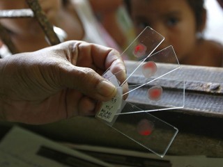 ބޭހަށް ނުގުޑާ "ސުޕަރ މެލޭރިއާ" އޭޝިއާގައި ހަލުއި ކަމާއެކު ފެތުރެނީ