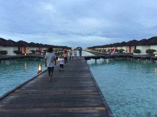 Tourist arrivals soar despite mounting reports of drowning in paradise