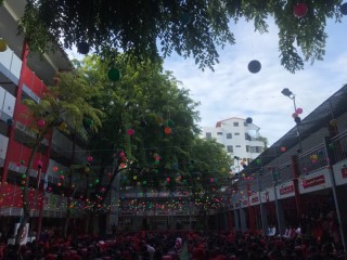 މާލޭގެ ސްކޫލެއްގެ ގޯތިތެރެ