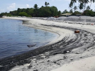 މުލީ މޫދު ސަރަހައްދަށް ކަޅުތެޔޮ އެޅުނު މައްސަލަ ދަނީ ބަލަމުން: އީޕީއޭ