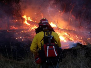ކެލިފޯނިއާގެ ޖަންގަލިތަކުގައި ރޯވުން:މަރުވި މީހުންގެ އަދަދު 40 އަށް