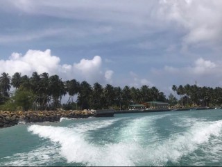 ތ. ކިނބިދޫ- ރައްޔިތުން ތިބީ ނަރުދަމާގެ ނިޒާމަށް ބޭނުންވެފައި