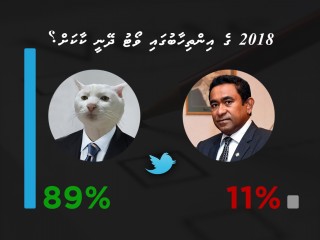 Feline wins over incumbent Maldives President in twitter poll