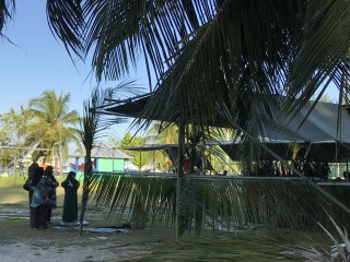 ސަޓާ: "އައިލެންޑް ފެސްޓިވަލް" ތަފާތުވާނެ!