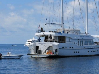 ކޮންމެ އަހަރަކުވެސް ރިސޯޓުތަކަށާއި ސަފާރީތަކަށް އަންނަ ފަތުރުވެރިން ގެނބިގެން މަރުވުމުގެ ޙާދިސާތައް ހިނގާ