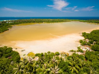 Kulhudhuffushi mangrove area