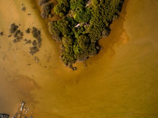 Mangrove area in Kulhudhuffushi island