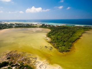 Kulhudhuffushi mangrove area