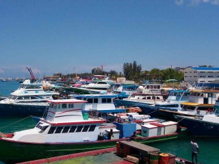 Man asleep on docked boat stabbed in the head