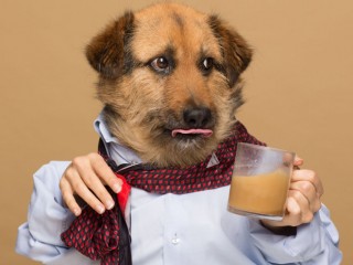 ކުއްތާއަށް ޚާއްސަ ކޮފީ އެއް ތައާރަފް ކޮށްފި