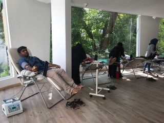 ރެއިންބޯ ރީ-ކްރިއޭޝަން ކްލަބުން ލޭ ހަދިޔާ ކުރުމުގެ ހަރަކާތެއް ބާއްވައިފި