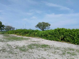 ކުރިނބީގައި ފުޓްސަލް ދަނޑު އަޅާނެ، މައްސަލައަކީ އެމްޑީޕީ މީހުންނަށް ހަޖަމް ނުވުން: ކައުންސިލް