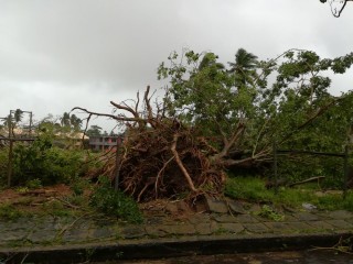 މިހާރު ކުރަމުންދާ ވިއްސާރައިގައި ލަންކާއަށް ވަރަށް މޫސުމް ގޯސް