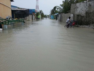 ވިއްސާރަވެހި ރަށެއްގައި ފެންބޮޑުވެފައި