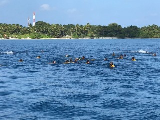 ބިލެއްދޫއިން މަގޫދޫއަށް ފަތާފައި ކުރި ދަތުރު، އެތައް ބަޔަކު ހައިރާންކޮށްލި ހަރަކާތެއް