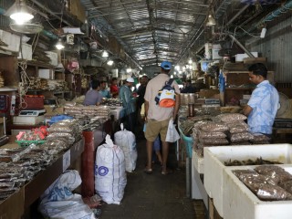 ދަތުރުވެރިންގެ މާރުކޭޓް - ގޮޅިތައް ހުސްކުރުމަށް ދިން މުއްދަތު ވަނީ އިތުރުކޮށްފަ