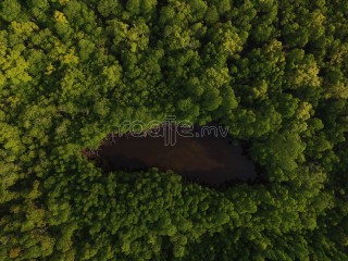 ހދ. ކޭލަކުނު