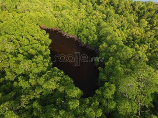 ކޭލަކުނު: ރާއްޖޭގެ ވަކި ސަރަހައްދުތައް ބޭރު ދުނިޔޭގައި ޕްރޮމޯޓް ކުރުމަކީ މި ސަރުކާރުގެ ސިޔާސަތެއް